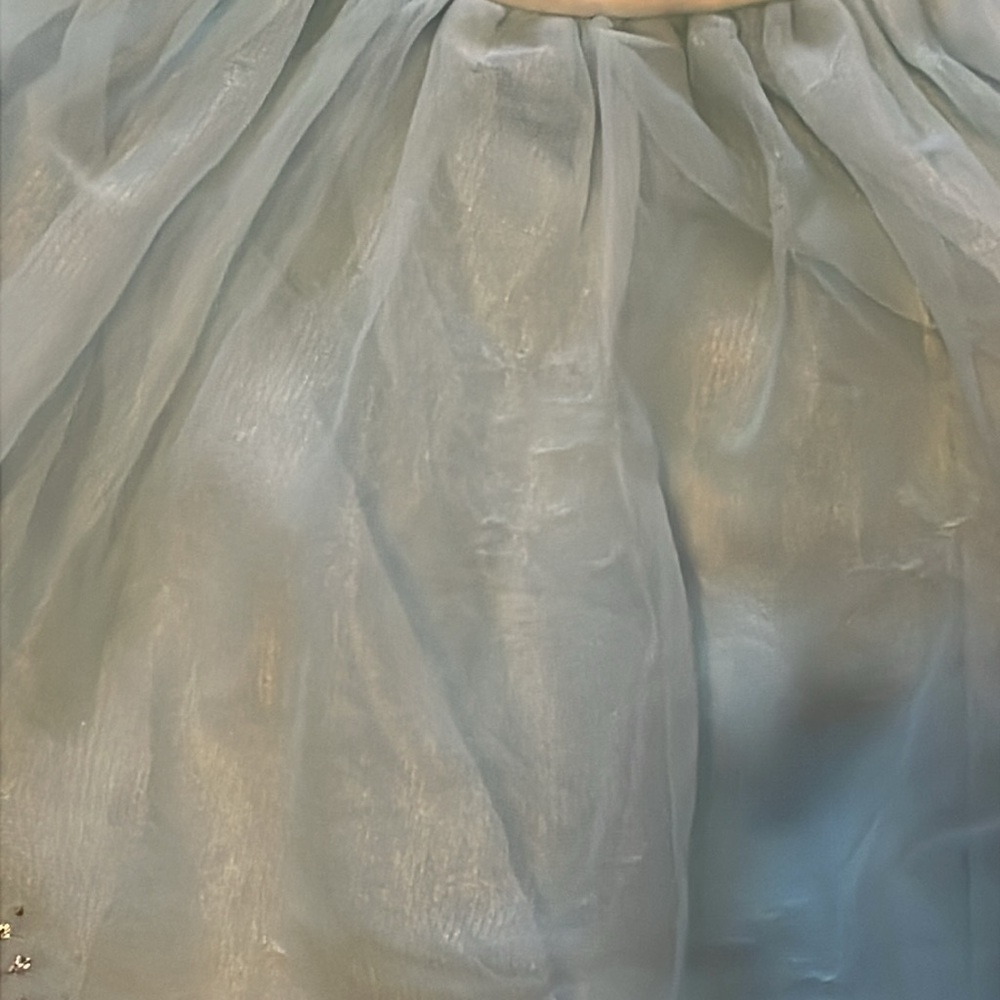 Disney Frozen Elsa tutu dress - Picture 6 of 6